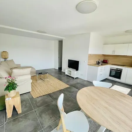 Large 1 Bedroom In Center With Terrace & Parking -67b Apartment *